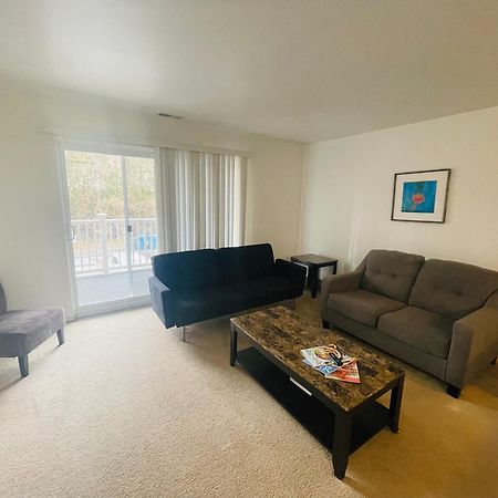 Large, Clean, Comfortable, 1Br Near Einstein Hos Elkins Park Экстерьер фото